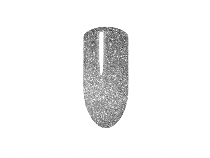 Holo Glitter Silver